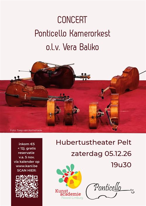 Ponticello Kamerorkest