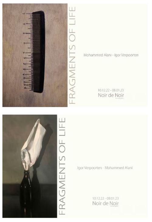 Fragments of Life