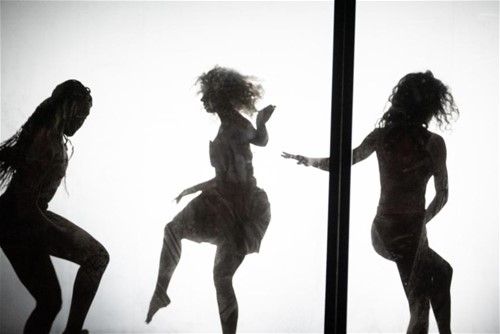 Dansvoorstelling Inter-Action