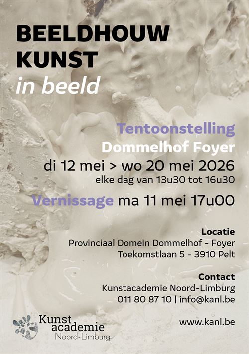 Beeldhouwkunst in Beeld