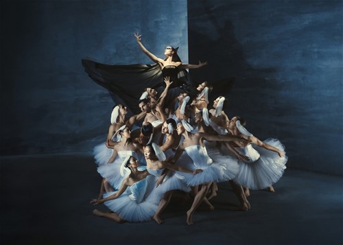 Dansvoorstelling Swan Lake - Introdans