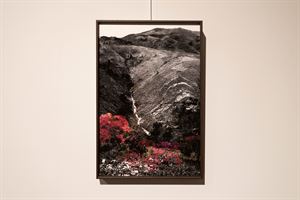  33