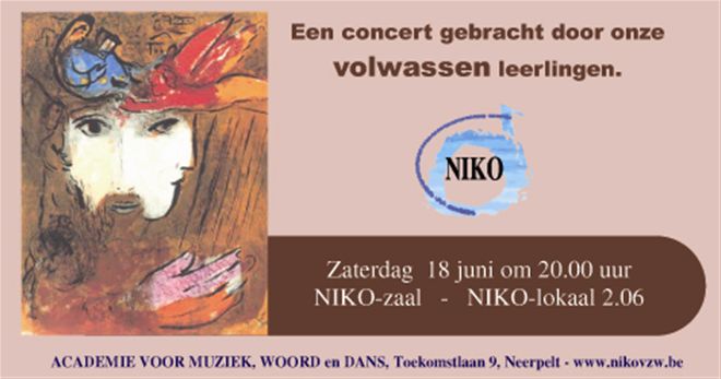 Concert volwassen leerlingen