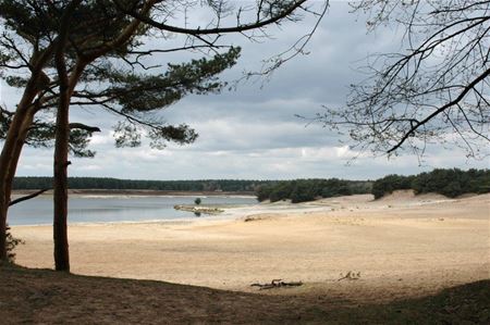 Lommel, zand en dans...