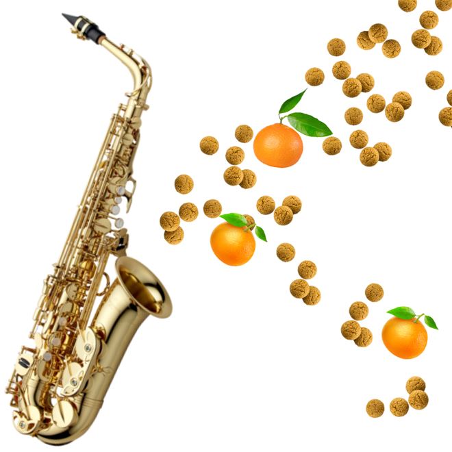 Sinterklaasconcerten Saxofoon