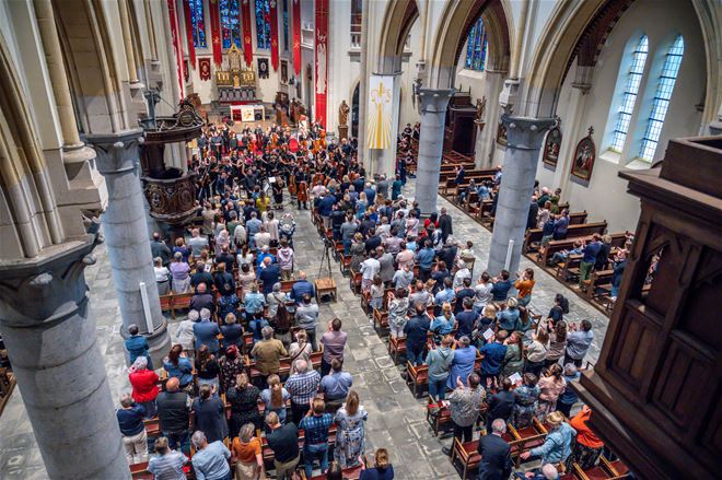 Strijkers palmen kerk Neerpelt in