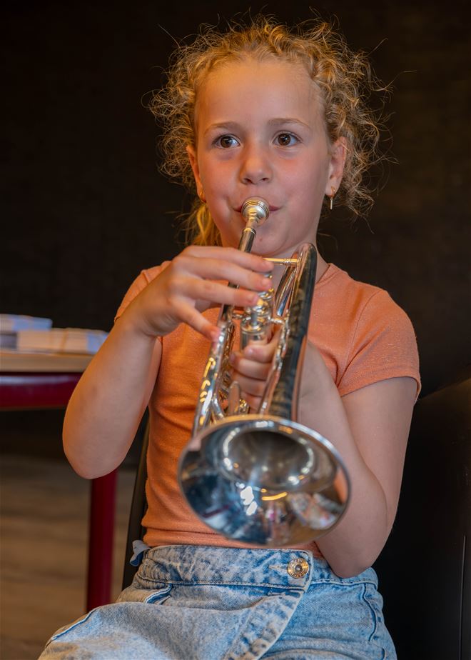 Op zoek naar het perfecte instrument …
